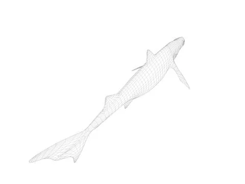 3d wireframe dinosaur Illustrazione stock