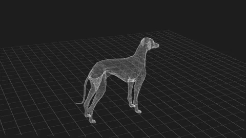 3D Wireframe of a Dog on Grid Background in Digital Space with Modern Techn.. 库存影片 344032656