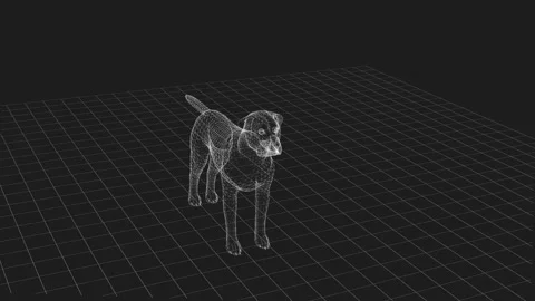 3D Wireframe Dog Model on Grid Background Captured from Various Angles 库存影片 343035627
