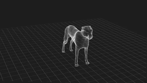 3D Wireframe Dog Model on a Grid Background, Showcasing Digital Art and Des.. 库存影片 343121022