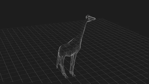 3D Wireframe Giraffe Model Rendered in Digital Virtual Environment View 库存影片 342606084