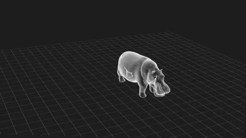 3D Wireframe Hippo Model in Perspective Grid View 库存影片 342376318