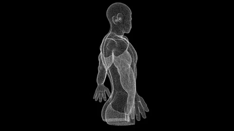 3D Wireframe of Human Body in Artistic Digital Representation Stock Footage 339053145