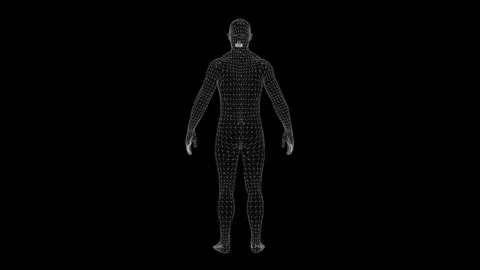 3D Wireframe Human Model on Black Background, Highlighting Digital Technolo.. Stock Footage 341778701