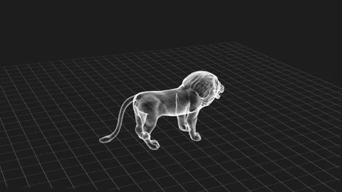 3D Wireframe Lion Model Display in Monochrome Digital Animation Environment 库存影片 344032444