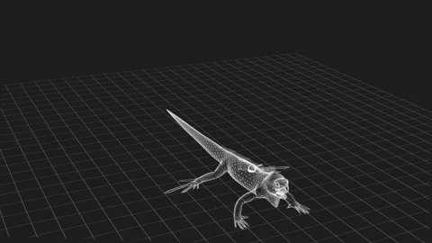 3D Wireframe of a Lizard on a Grid Background with Digital Details and Tech.. Stock Footage 343862656