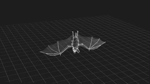 3D Wireframe Model Of Bat With Wings Outstretched In Mesh Style Render Stock Footage 342375891
