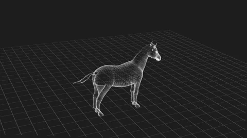 3D Wireframe Model of a Horse on a Checkered Grid Background in Black and Whi 库存影片 344032564