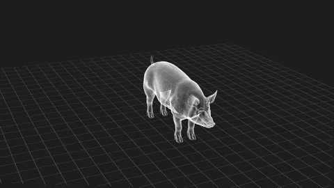 3D Wireframe Model of Pig on Grid Background in Monochrome Style Stock Footage 342377151