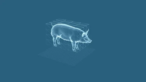 3D Wireframe Model of a Pig Within a Cubic Grid on a Blue Background 库存影片 342377093