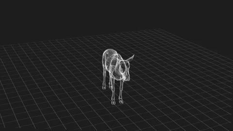 3D Wireframe Moose Model on Grid Surface in Minimalistic Black and White Styl Stock Footage 343591337