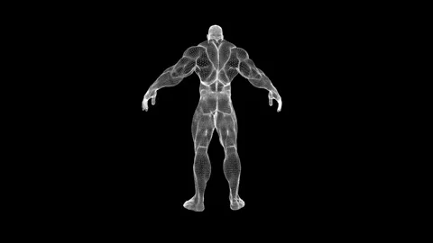 3D Wireframe Muscle Model in Dazzling White on Black Background Visualized Stock Footage 341778706