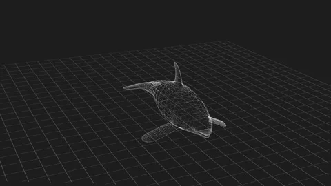 3D Wireframe Orca Rendering in Black Grid Digital Environment 库存影片 343120301