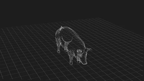 3D Wireframe Pig Model on a Black and Grid Background Vídeos de archivo 343591480