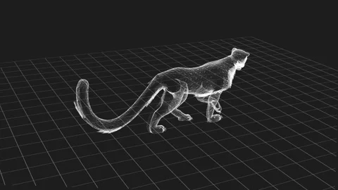 3D Wireframe Rendering of a Cheetah on Gridded Floor with Black Background 库存影片 342316194