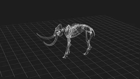 3D Wireframe Representation of Mammoth Skeleton Against Grid Background Stock Footage 342315736