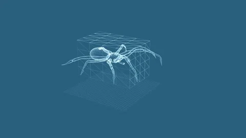 3D Wireframe Representation of Spider in Geometric Digital Space on a Blue .. 库存影片 342376174
