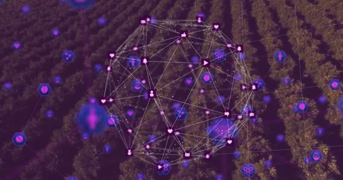 3D wireframe sphere fading in triggers pulsing nodes and floating icons showing Stock Footage 314845120