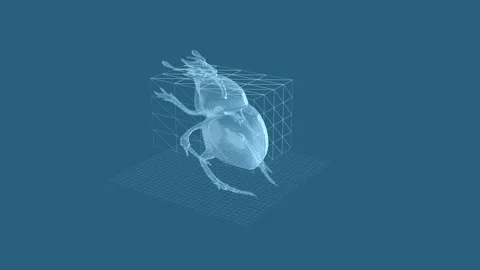 3D Wireframe Visualization of Beetle Examined in Geometric Grids and Scient.. 库存影片 342781509
