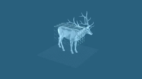 3D Wireframe Visualization of Deer or Elk on Blue Grid Background Stock Footage 342245546