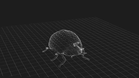 3D Wireframe Visualization of Detailed Insect on a Grid Background in Black.. 库存影片 343864697