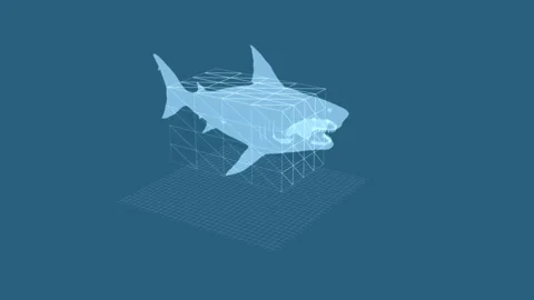 3D Wireframe Visualization of Great White Shark in Oceanic Environment 库存影片 343640306