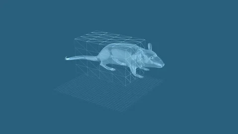 3D Wireframe Visualization of a Mouse in Geometric Cubical Environment 库存影片 343036082