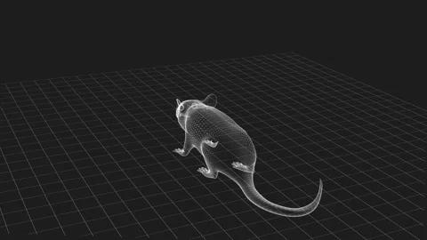3D Wireframe Visualization of a Mouse on a Grid Background for Design and Stu Stock Footage 343036261