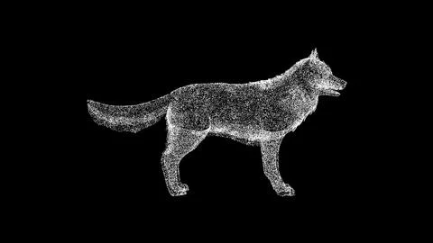 3D Wolf on black background. Wild animal concept. Forest Predator. Business Stock Illustration