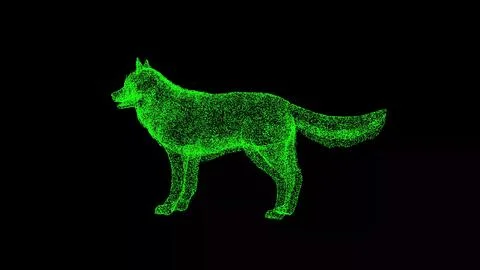 3D Wolf on black background. Wild animal concept. Forest Predator. Business Stock Illustration