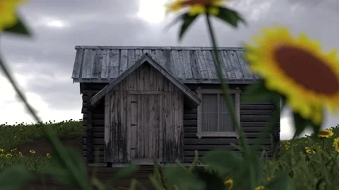 3D Wooden Farm House Sunflower Field Animation Overcast Cloudy Stormy Day Stock Footage