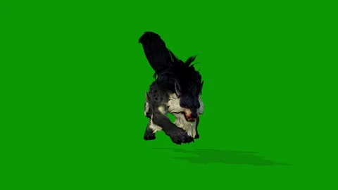 3D Worg Attacking Scene Front Side On Green Screen Rendering Animation Stock Footage 312113107