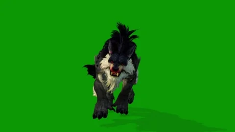 3D Worg Slow Walking Front Side On Green Screen Rendering Animation Stock Footage 312113152
