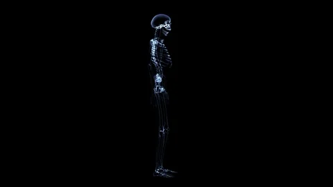 3D X-ray human with bone  rotated– HD, Loopable Stock Footage 90947633
