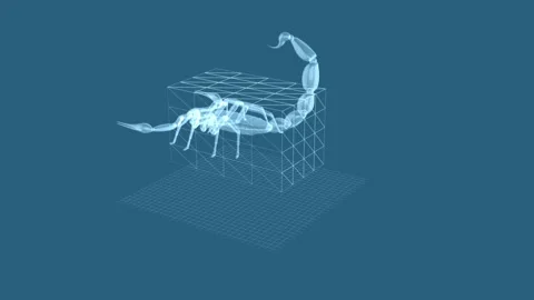 3D X-ray Visualization of a Scorpion on a Geometric Grid Matrix 库存影片 344032604