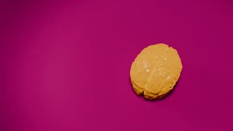 3d yellow brain model glossy reflective surface on fuchsia background.. Stock Photos
