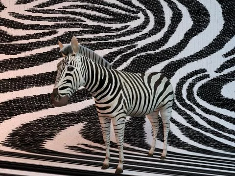 3d zebra patterns Illustrazione stock