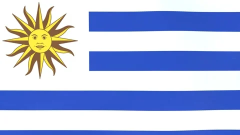 3DCG animation of national flags fluttering in the wind, Uruguay Stock Footage 218598316