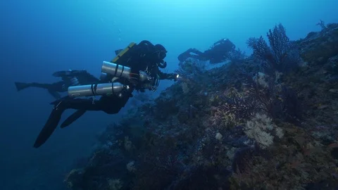 3divers light up the rocky seabed covered by gorgonians, Mediterranean Sea,Italy Stock Footage 115511567