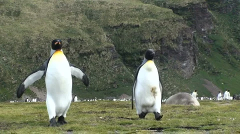 3kings cross3 스톡 동영상 6930146