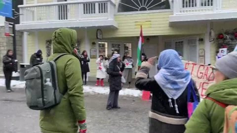 3rd day of Sundance marked by pro-Palestinian protests, premiere of 'All That's  Stock Footage 300079558