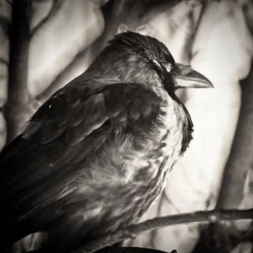 3rd night Stock-Fotos