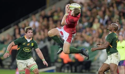 3rd Test: SA 30 Wales 14 Foto stock