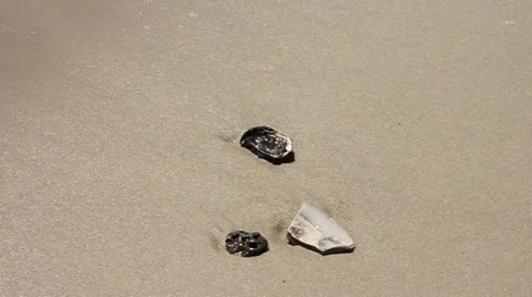 3Shells 動画素材 11024354