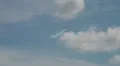 3x Fly Synthesis Texan Top Class airshow HD Footage