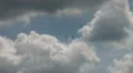 3x Ikarus C42b flying heart with arrow HD Footage