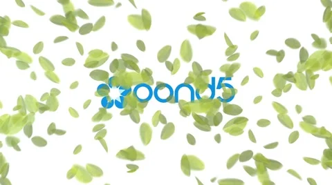 4 in 1 Simple Leaves Logo Reveal After Effects stock