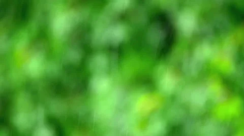4 in 1 video! Strong rain by greenery background. slow motion capture Video stock 53321985