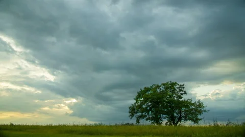 4 in 1 video! Thunderstorm sky by the field with green tree. Time lapse capture Stock Footage 52424918