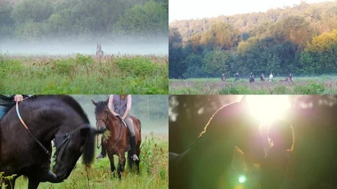 4 in 1: young people riding horses in nature. foggy weather Stock Footage 101294404